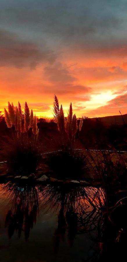 Bergblick Daire Thale Dış mekan fotoğraf