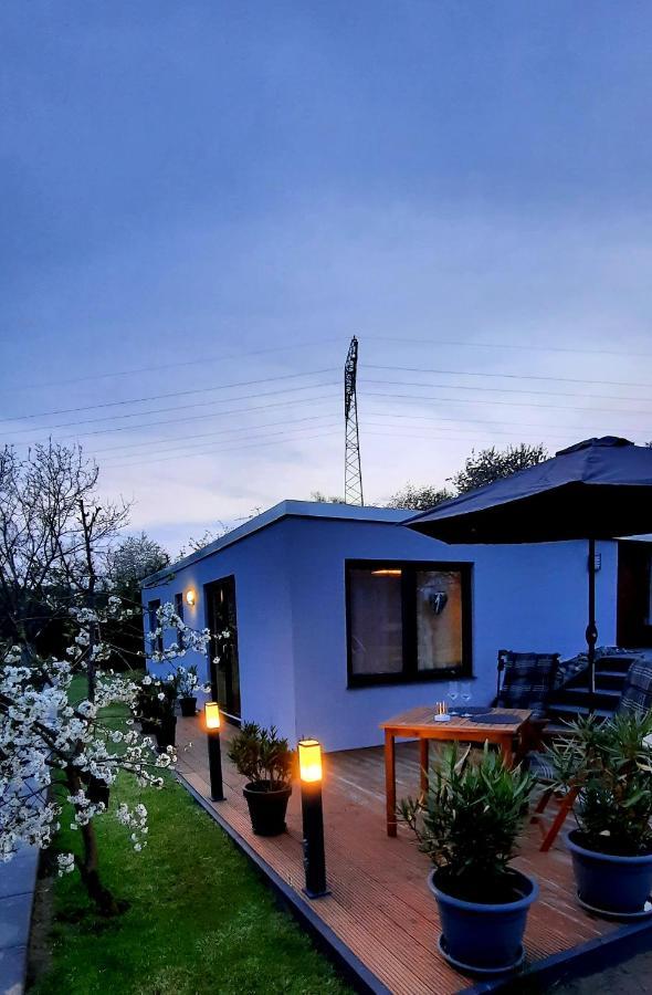 Bergblick Daire Thale Dış mekan fotoğraf