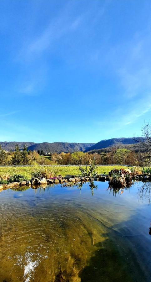Bergblick Daire Thale Dış mekan fotoğraf
